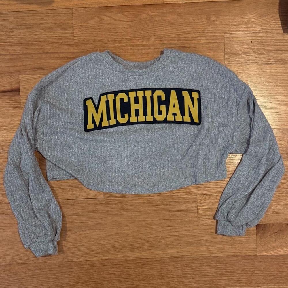 University of michigan cropped soft